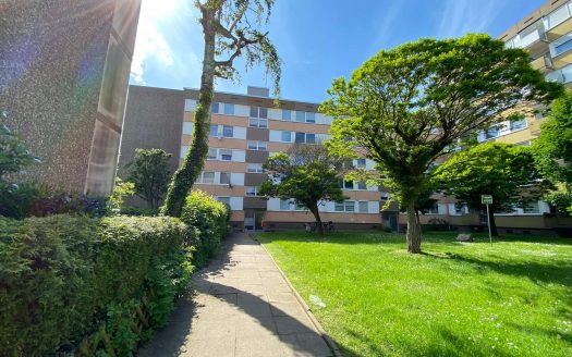 Voll Renovierte 3 Zimmer Wohnung