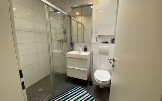 Geräumiges und vollständig renoviertes 4-Zimmer-Haus in Leverkusen